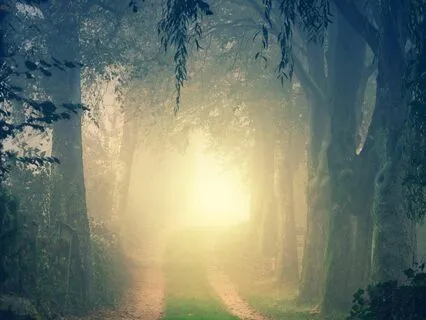 Empath & Highly Sensitive Being Motivation & Support