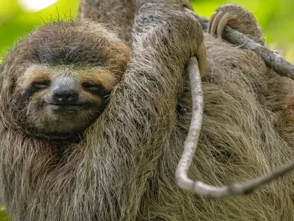 Empath's Soul: For Empaths - Grounding & Emotional Renewal