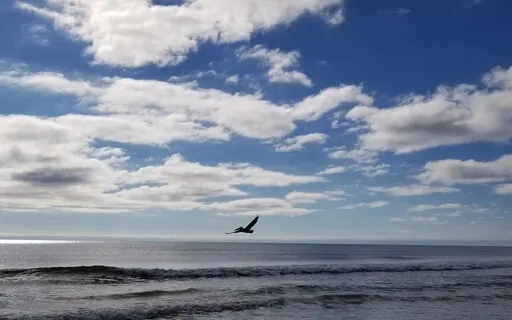 Empath SOS With Reiki