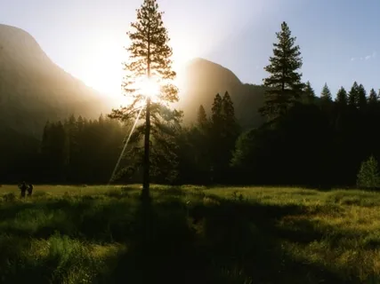 Empaths And HSPs Are Always Taking In Huge Amounts Of Negative Energy Without Realizing