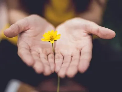 Empathy Affirmations (Without Music)