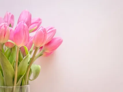 Empathy & Compassion Meditation