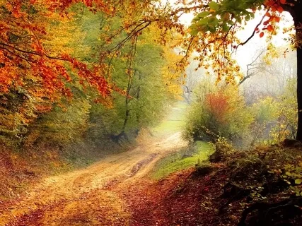 Empower Spiritual Prayer For Protection - Healing Music