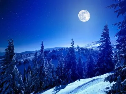 Empower Your Resilience This Snow Moon With Tuning Forks