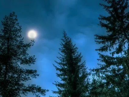 Empower Your Resilient Voice, With Evergreen