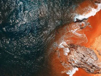 Empower Your Throat Chakra | Sound Healing Collection