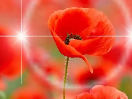 Abundance For Over-Givers & People Pleasers