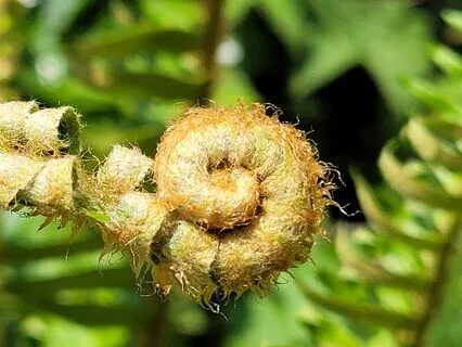 Empowered In My Body: 20 Affirmations For Body Positivity