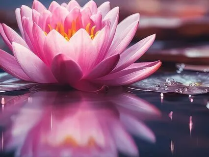 Empowered Morning Affirmations: Embrace Your Best Self