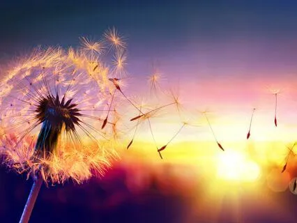 Empowering Affirmations: NSDR Power Nap In 432 Hz