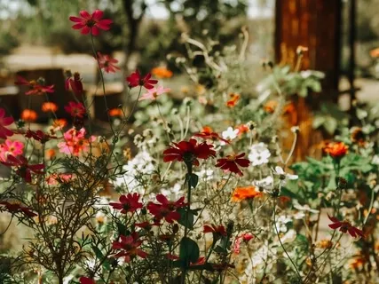 Empowering Affirmations