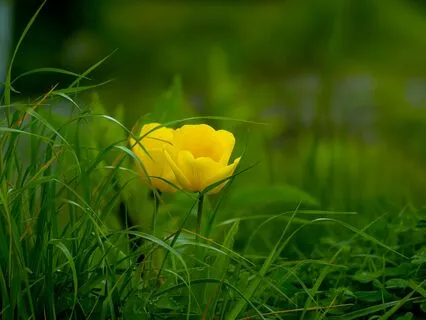 Empowering Beliefs Activation