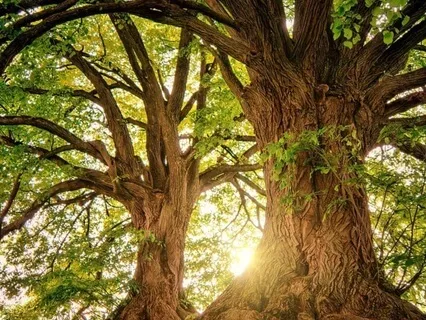 Empowering Faith Music For Mindfulness