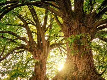 Empowering The Voice And Body