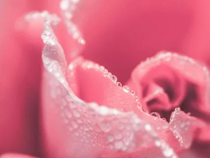 Empowerment During Life Transitions