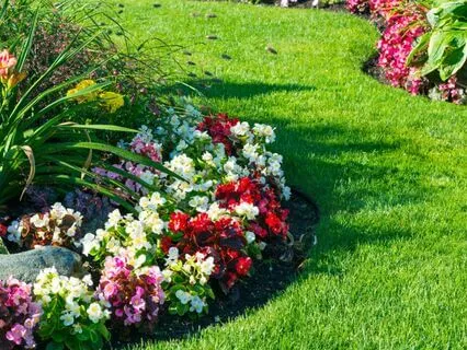 Empowering Your Life Through Disciplined Balance