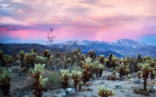 Empowerment For Creatives: Bonding With The Natural World