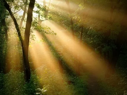 Empowerment Meditation