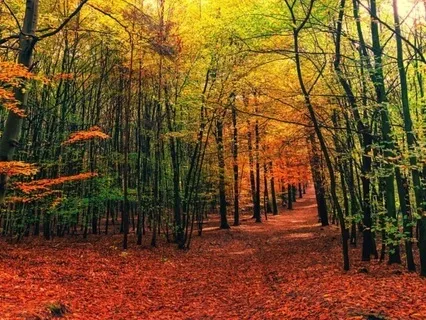 Empowerment Meditation For Relaxation