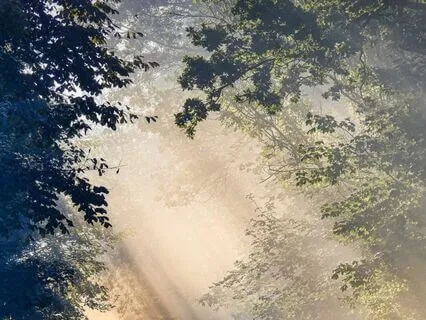 Empty Mind Meditation For Bedtime