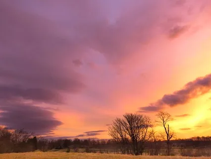 Empty Of Expectation: Exploring "Beginner's Mind"