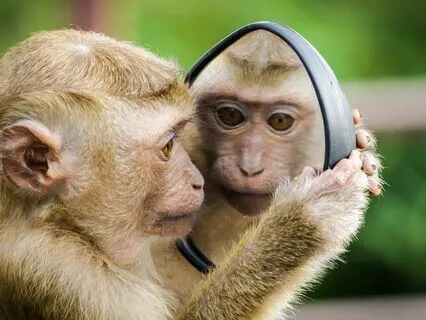 Empty Of Self: Breath Meditation And Anatta (Not-Self)