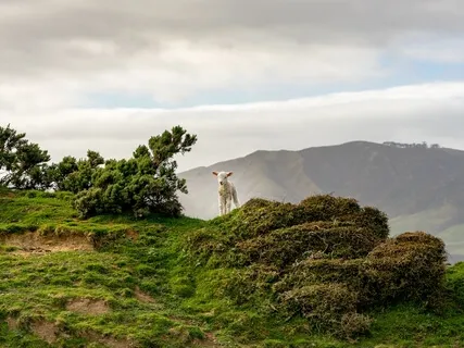 Emptying Our Cup To Welcome In Life