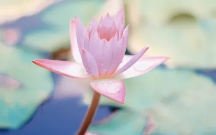 En introduktion till andningsövningar - för nybörjare