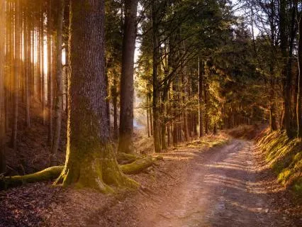 En ny början (7 Riktning)