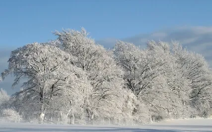 En vintersaga- Yoga Nidra för återhämtning och vila