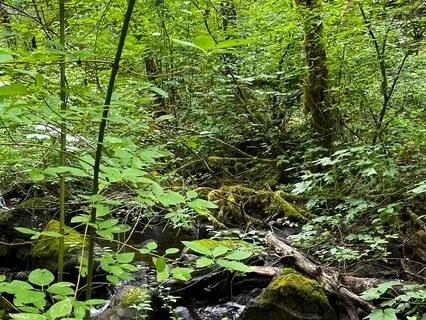 Enchanted Flute And Guitar Awakening