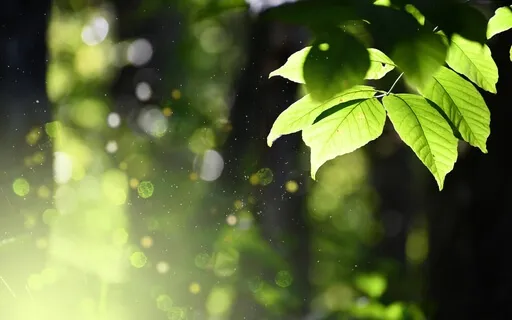 Enchanted Forest — Chimes And Bells For Sound Healing
