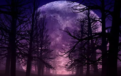 Enchanted Forest Full Moon Meditation - New Spirit Guide
