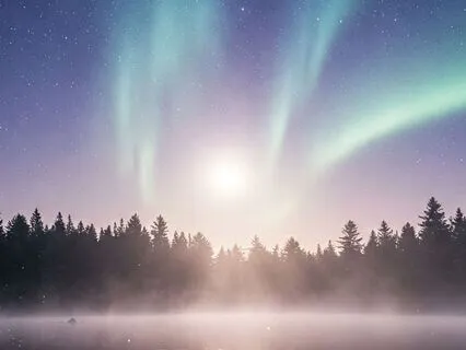 Enchanted Forest Of Dreams A Sleep Story