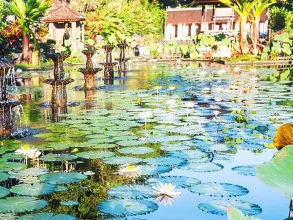 Enchanted Garden Pool Meditation