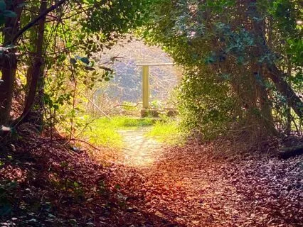 Enchanted Garden Sleep Story/Meditation