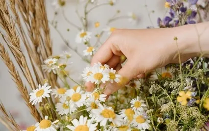 Enchanted Journeys: Rainbow Chakra Wildflowers