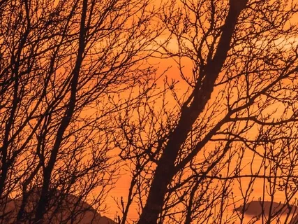 Enchanted Journeys: The Ocean And Morgan Le Fay