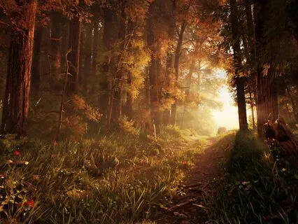 Enchanted Woodlands: Immersive Forest Ambience