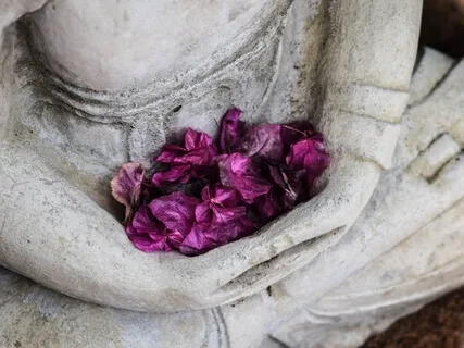 Encontre o seu Refúgio - Meditação Compassiva