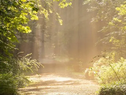 Encounter Your Divine Creator