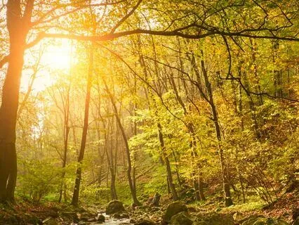 Encountering The Dream Weaver (Long Sleep Story)