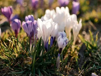 Encouragement Over Criticism - Feb 25