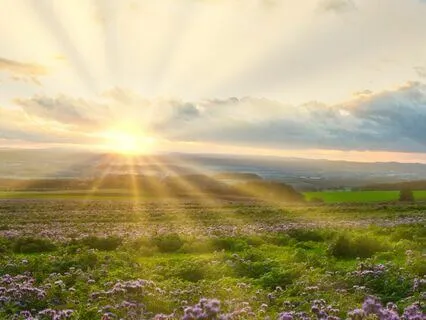 Encouragement & Support From Your Future Self