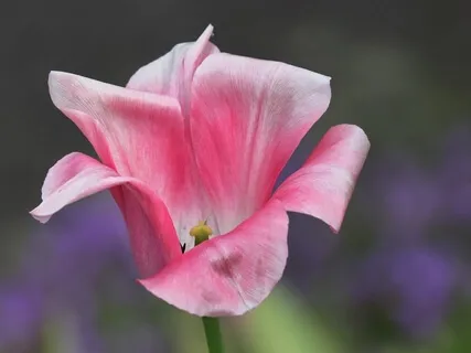 Encouraging Action (Binaural Beat 28hz)