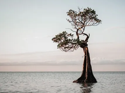 Encouraging Self Love