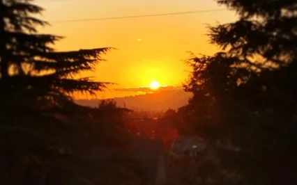 Enculturated Dysfunctional Messages - Responding With Prayer