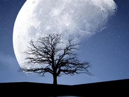 End Of Day Gratitude