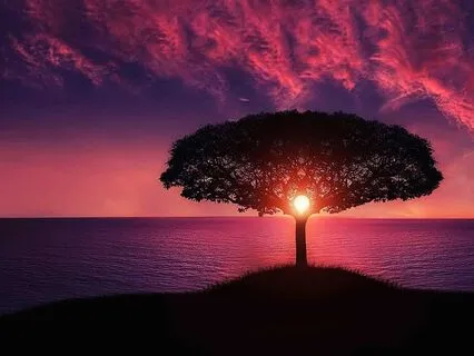 End-of-Day Integration & Reflection Meditation