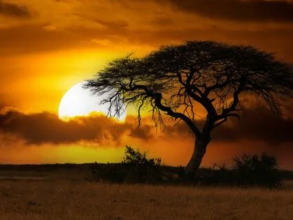 End Of Day Meditation